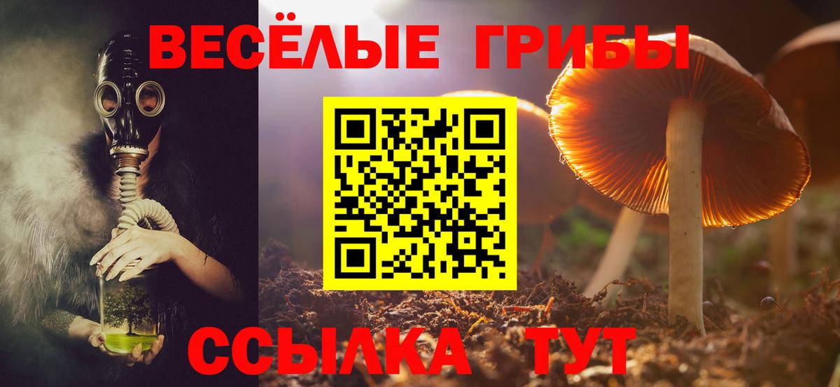 ГАШИШ  COCAIN  МЕФ кристаллы  Вход с VPN  Шадринск  Бошки Шишки 