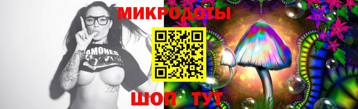 Шадринск  Псилоцибиновые грибы MAGIC MUSHROOMS  Псилоцибиновые грибы Magic Shrooms  Вход с VPN 
